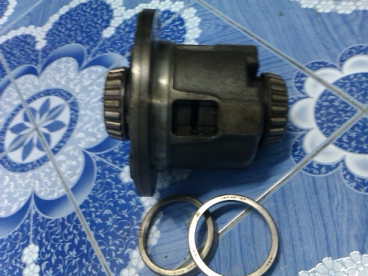 ขายเต็ดมิตรซู