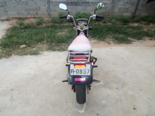 ขายชิปปี้เดืมๆดีๆด่วน