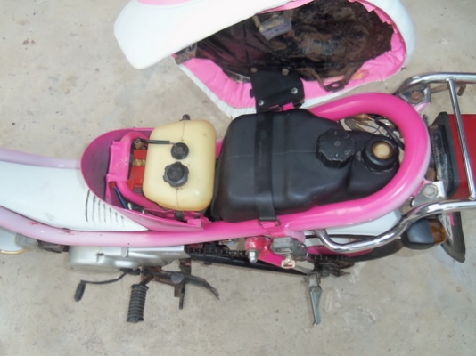 ขายชิปปี้เดืมๆดีๆด่วน