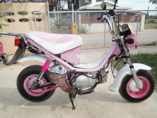 ขายชิปปี้เดืมๆดีๆด่วน