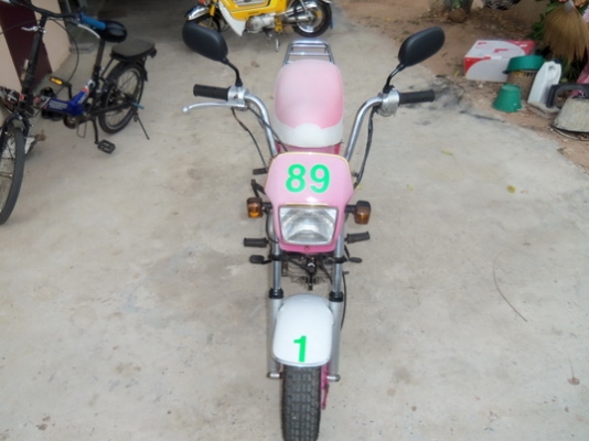 ขายชิปปี้เดืมๆดีๆด่วน