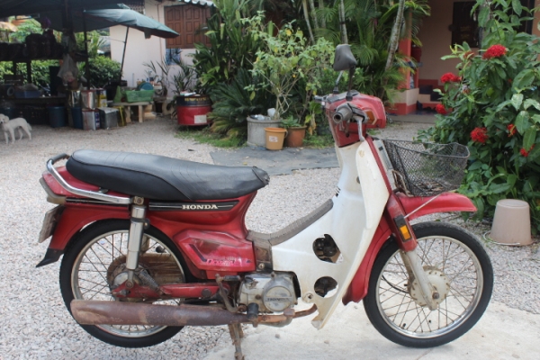 ดรีมคุรุสภาสีแดงทะเบียนพร้อมโอนเดิมๆขายถูก9500บาท