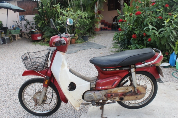 ดรีมคุรุสภาสีแดงทะเบียนพร้อมโอนเดิมๆขายถูก9500บาท