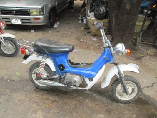 ขาย ชาลี หลายคันคับถูกๆ ขาย ชาลี หลายคันคับถูกๆ