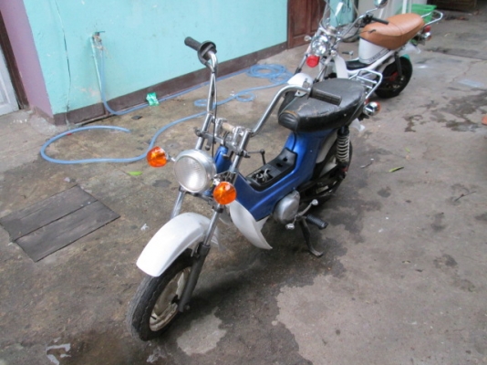 ขาย ชาลี หลายคันคับถูกๆ ขาย ชาลี หลายคันคับถูกๆ