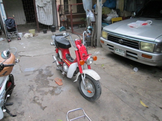 ขาย ชาลี หลายคันคับถูกๆ ขาย ชาลี หลายคันคับถูกๆ