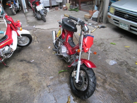 ขาย ชาลี หลายคันคับถูกๆ ขาย ชาลี หลายคันคับถูกๆ