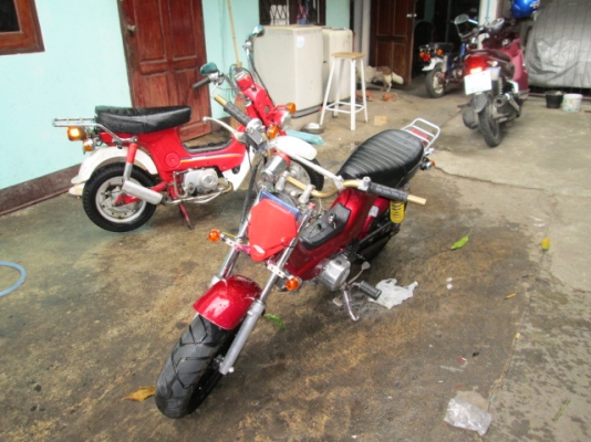 ขาย ชาลี หลายคันคับถูกๆ ขาย ชาลี หลายคันคับถูกๆ