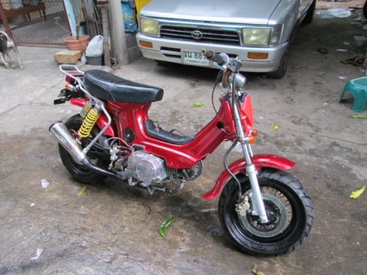 ขาย ชาลี หลายคันคับถูกๆ ขาย ชาลี หลายคันคับถูกๆ