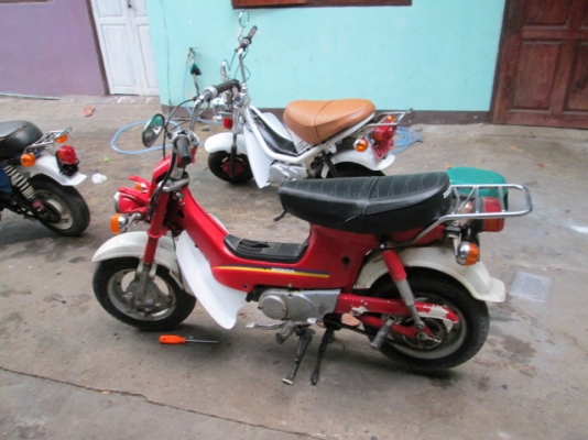 ขาย ชาลี หลายคันคับถูกๆ ขาย ชาลี หลายคันคับถูกๆ