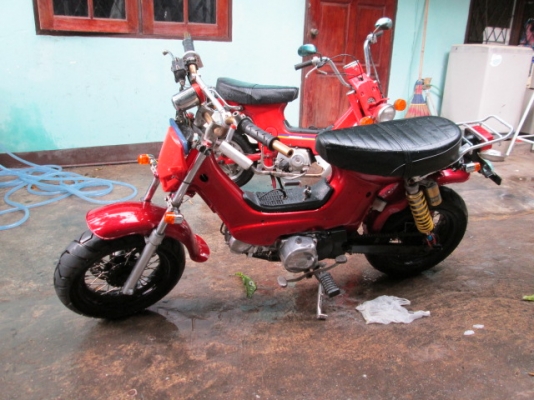 ขาย ชาลี หลายคันคับถูกๆ