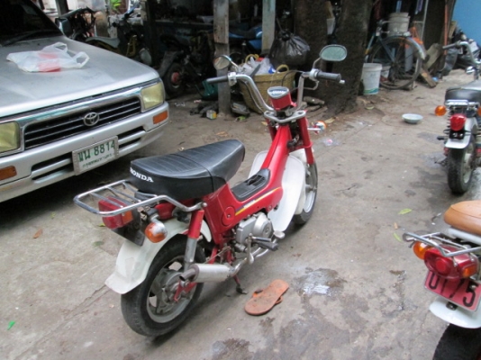 ขาย ชาลี หลายคันคับถูกๆ ขาย ชาลี หลายคันคับถูกๆ