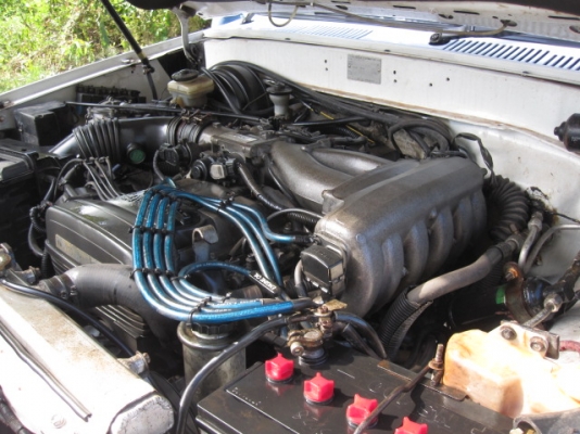 ขายโตโยต้าคานแข็ง YN พร้อมลุย ขายโตโยต้าคานแข็ง YN พร้อมลุย