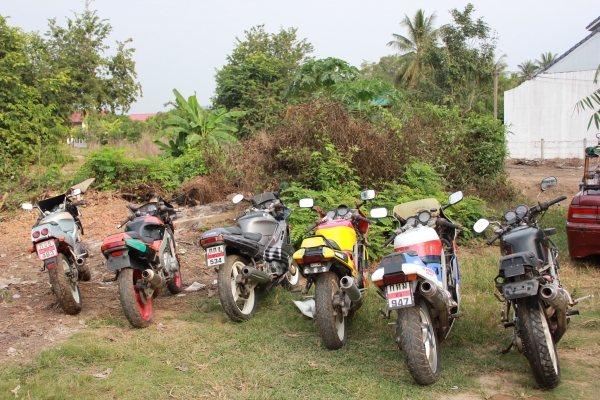 ราคาเหมา ยกฝูงไปเลย 9 คัน 220000 รถอยู่จังหวัดเลย ราคาเหมา ยกฝูงไปเลย 9 คัน 220000 รถอยู่จังหวัดเลย