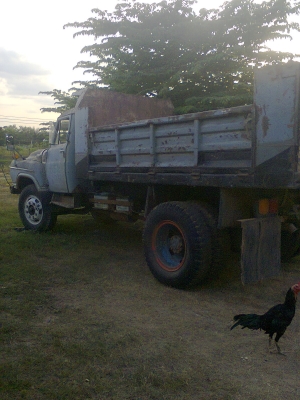 ขายรถดั้มหน้ายาว ISUZU สภาพพร้อมใช้
