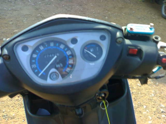 นูโวเอ็มเอ็กซ์ปี49