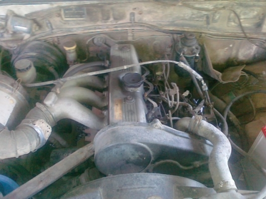 ขายแอล200ไม่ทราบปี อุปกรเกือบครบ น่าจะประมาณปี94ดูจาก แผงคอลโซลสภาพตามรูป รถเอามาทำสีแต่ช่างทำไม่ทันงานเยอะเจ้าของรอไม่ไหวจะขอขายสภาพนี้มาเอาเองรถขี่ได้ปกติรับประกันเอาแบตมาใส่ใช้ได้เลยแบตอาจจะมีต้องหา(ขายราคานี้เท่านั้นต่อราคาไม่ต้องโทร)