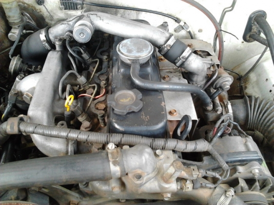 ขาย กระบะตอนเดียว NISSAN บิ๊กเอ็ม TD2.7 ปี40/97 เครื่องTD2.7ฝาดำ แห้งจัด ไม่เยิ้ม แรง  แอร์ พ.พาวเวอร์ พร้อมภายในสวย เบาะไม่ขาด ช่วงล่างแน่น คัสซีสวย หน้า-หลังเดิมไม่เคยชน รถเก็บสีมา สีดี พื้นปูกระบะ ล้อแม็ก  พร้อมใช้ พร้อมลุยงาน ***ขายแล้วครับขอบคุณ Truc