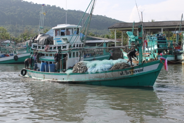 ขายเรือจับปลาทู(อวนติด)พร้อมออกหากินได้เลย