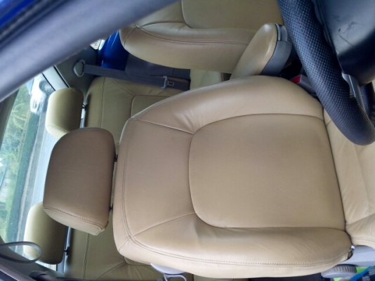 NEW BETTLE NEW BETTLE