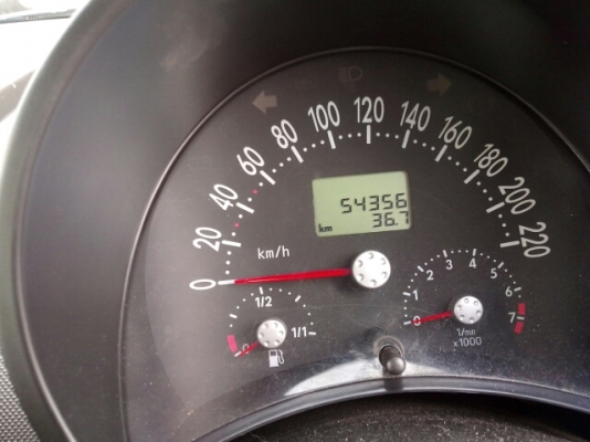 NEW BETTLE NEW BETTLE