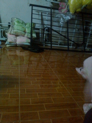 ขายหกล้อFC 120 ปี 38 พร้อมใช้งานคับยาว 5.50 เมตรดูรถได้ที่ในเมืองสุโขทัยคับ