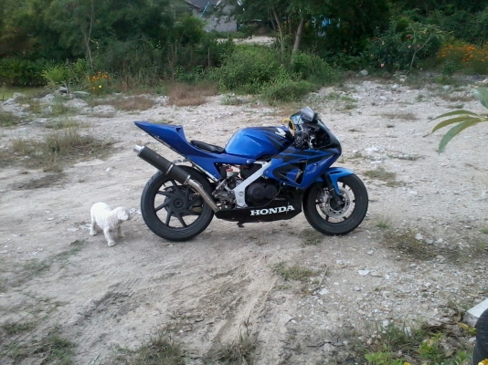 ขายnc24 ทบ.แท้ 111 กทม ภาษีไม่ขาดต่อ