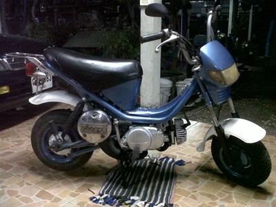 ขายชิปปี้เดิมๆสวยๆถูกๆ