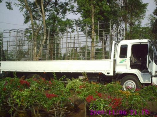 ขาย 6 ล้อใหญ่ Isuzu เด้กก้า