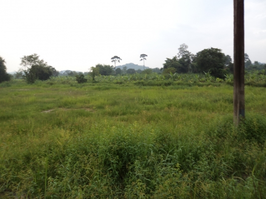 แบ่งขายที่ดิน 4-5ไร่หรือจะซื้อหมด 17 ไรก็ได้ที่สวยติดถนนลาดยางเส้นหลัก อยู่บ้านนา นครนายก น้ำไม่ท่วมขาย ไร่ละ 500000 ติดต่อ 0812541444