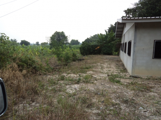 แบ่งขายที่ดิน 4-5ไร่หรือจะซื้อหมด 17 ไรก็ได้ที่สวยติดถนนลาดยางเส้นหลัก อยู่บ้านนา นครนายก น้ำไม่ท่วมขาย ไร่ละ 500000 ติดต่อ 0812541444