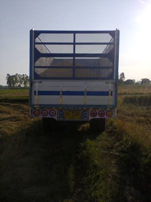 ขายดั้มเกษตรข้างเนียม