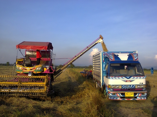 ขายดั้มเกษตรข้างเนียม