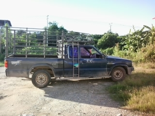 ขาย มาสด้า ธันเดอร์ B2500 แคป รถใช้งานอยู่ครับ ทะเบียนไม่ขาด ชุดโอนครบครับ