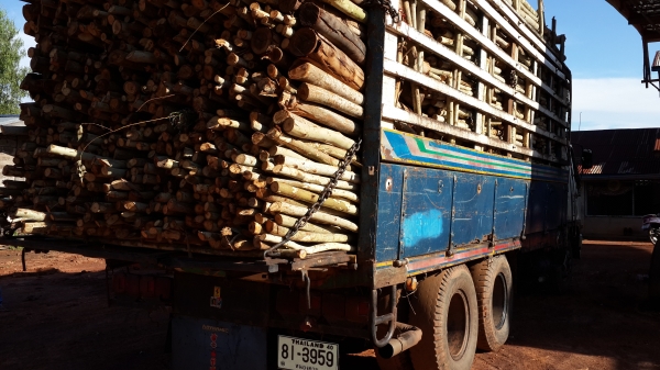 ขายด่วนHINOสิงห์ไอเทค FL176 เครื่องHO7D 185แรง คัชซีสวย เบรคทิฟฟี่ พวงมาลัยเพาเวอร์ เอกสารพร้อม จัดแนนท์ได้ โทรจองเลย 0843923995 ขายด่วนHINOสิงห์ไอเทค FL176 เครื่องHO7D 185แรง คัชซีสวย เบรคทิฟฟี่ พวงมาลัยเพาเวอร์ เอกสารพร้อม จัดแนนท์ได้ โทรจองเลย 0843923995