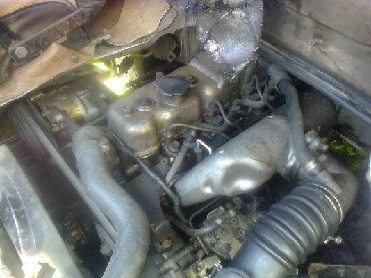 ขายอีชูชุบัดดี้ ฝาทอง /2800