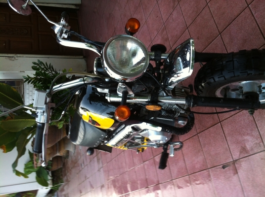 Gorila ทะเบียนแท้