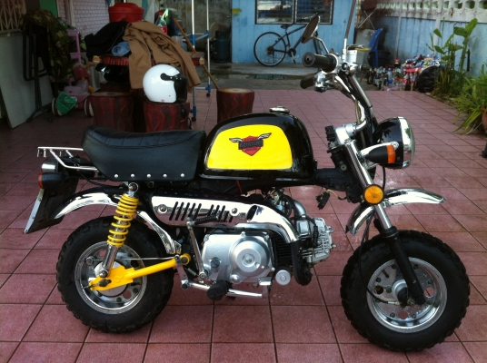 Gorila ทะเบียนแท้