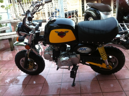 Gorila ทะเบียนแท้