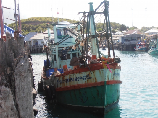 ต้องการขายเรือประมงไดร์หมึก+จับปลากะตัก