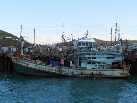 ต้องการขายเรือประมงไดร์หมึก+จับปลากะตัก