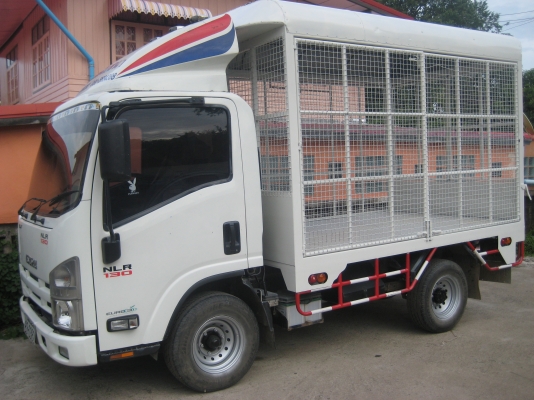 ขายรถ ISUZU NLR 130 แรง รถห้างแท้เดิมๆ ขายรถ ISUZU NLR 130 แรง รถห้างแท้เดิมๆ
