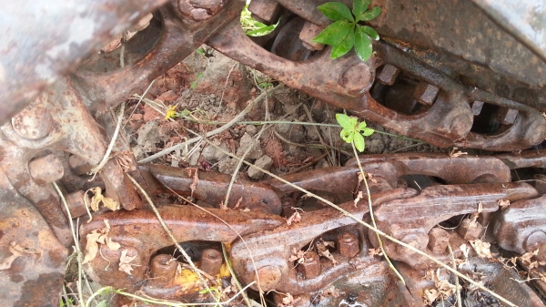 ต้องการขายโซ่  D2   ตีนเป็ด   ราคา  50,000 บาท