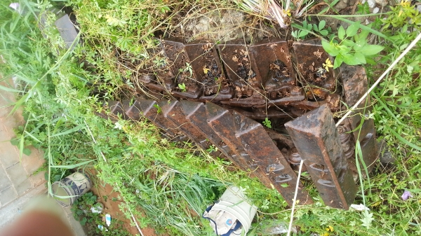 ต้องการขายโซ่  D2   ตีนเป็ด   ราคา  50,000 บาท