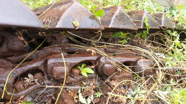 ต้องการขายโซ่  D2   ตีนเป็ด   ราคา  50,000 บาท