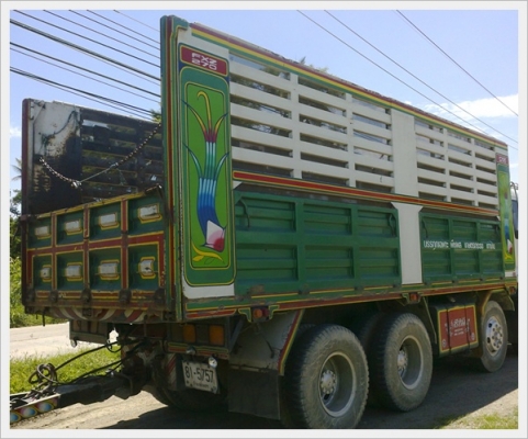 ขายกระบะดั้ม พร้อมกระบอกดั้ม+บั้มดั้มครบชุด