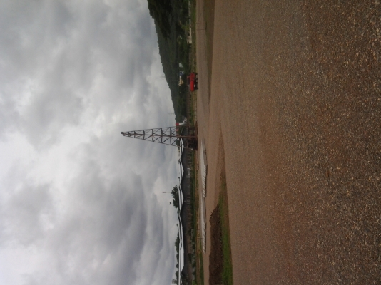 ขายปั้นจั่น