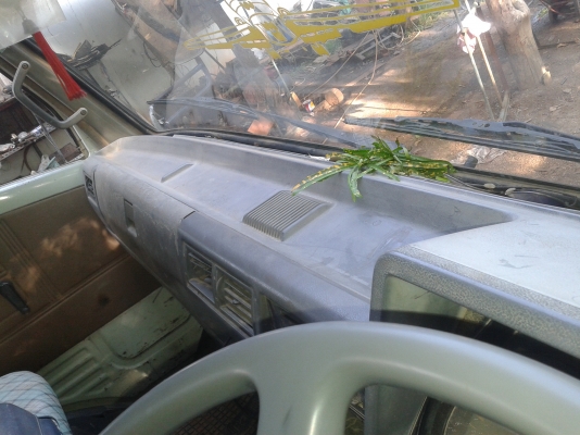 ขายดั้ม 6 ล้อ HINO ลูกค้าโคราชวางมัดจำแล้ว. ขอบคุณค่ะ.. ขายดั้ม 6 ล้อ HINO ลูกค้าโคราชวางมัดจำแล้ว. ขอบคุณค่ะ..