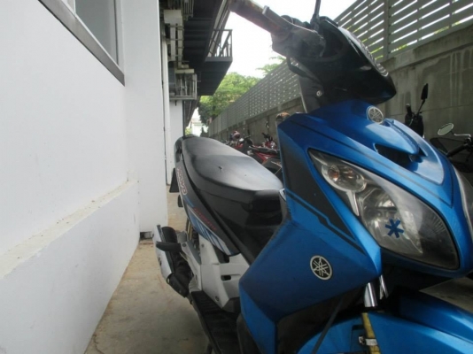 ขายโนโวถูกๆ