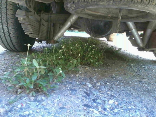 ขาย NISSAN BIG M สภาพพร้อมใช้ ขาย NISSAN BIG M สภาพพร้อมใช้